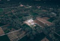 Hamparan perkebunan kelapa sawit yang dikelola secara berkelanjutan dengan menerapkan prinsip kelestarian lingkungan di Sumatra. Lahan ini menjadi penyedia bahan baku utama bagi berbagai produk gaya hidup masyarakat modern.