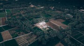 Hamparan perkebunan kelapa sawit yang dikelola secara berkelanjutan dengan menerapkan prinsip kelestarian lingkungan di Sumatra. Lahan ini menjadi penyedia bahan baku utama bagi berbagai produk gaya hidup masyarakat modern.