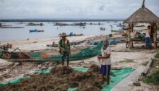 Nelayan muda di perairan Wakatobi menerapkan sistem rotasi zona tangkap yang memungkinkan populasi ikan pulih secara alami, sebuah pendekatan yang memadukan kearifan lokal dengan pengetahuan modern untuk menjaga keberlanjutan laut Indonesia.