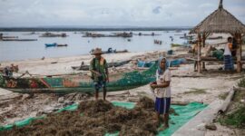 Nelayan muda di perairan Wakatobi menerapkan sistem rotasi zona tangkap yang memungkinkan populasi ikan pulih secara alami, sebuah pendekatan yang memadukan kearifan lokal dengan pengetahuan modern untuk menjaga keberlanjutan laut Indonesia.