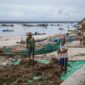 Nelayan muda di perairan Wakatobi menerapkan sistem rotasi zona tangkap yang memungkinkan populasi ikan pulih secara alami, sebuah pendekatan yang memadukan kearifan lokal dengan pengetahuan modern untuk menjaga keberlanjutan laut Indonesia.