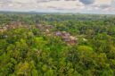Pemandangan dari atas memperlihatkan celah pembukaan lahan di antara lebatnya kanopi hutan hujan tropis Indonesia yang sangat berharga bagi keseimbangan iklim bumi.