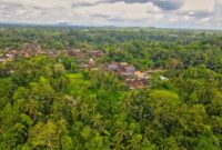 Pemandangan dari atas memperlihatkan celah pembukaan lahan di antara lebatnya kanopi hutan hujan tropis Indonesia yang sangat berharga bagi keseimbangan iklim bumi.