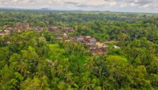 Pemandangan dari atas memperlihatkan celah pembukaan lahan di antara lebatnya kanopi hutan hujan tropis Indonesia yang sangat berharga bagi keseimbangan iklim bumi.