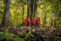 Anggota komunitas adat sedang memetakan kawasan hutan tradisi mereka demi melindungi kelestarian ekosistem dan kearifan lokal dari ancaman alih fungsi lahan.