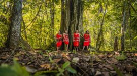 Anggota komunitas adat sedang memetakan kawasan hutan tradisi mereka demi melindungi kelestarian ekosistem dan kearifan lokal dari ancaman alih fungsi lahan.