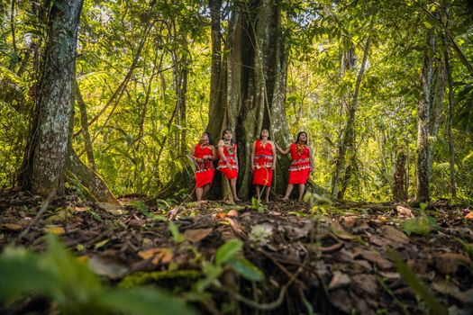 Anggota komunitas adat sedang memetakan kawasan hutan tradisi mereka demi melindungi kelestarian ekosistem dan kearifan lokal dari ancaman alih fungsi lahan.