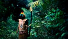 Masyarakat adat di pedalaman nusantara memanfaatkan pengetahuan tradisional untuk menjaga keaslian ekosistem hutan dan keanekaragaman hayati di tanah leluhur mereka.