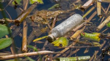 Limbah cair industri berwarna keruh mengalir langsung ke badan sungai di sekitar pemukiman, merusak ekosistem air dan membahayakan sumber air bersih warga.