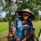 Petani sawit swadaya mengumpulkan tandan buah segar di perkebunan berkelanjutan yang telah menerapkan standar ramah lingkungan dan transparansi rantai pasok.
