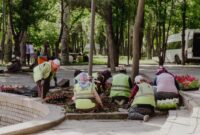 Sejumlah relawan muda sedang menanam bibit pohon lokal di kawasan restorasi hutan untuk membantu memulihkan keanekaragaman hayati dan mencegah erosi tanah.