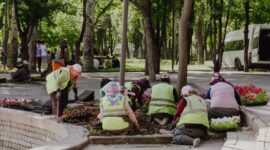 Sejumlah relawan muda sedang menanam bibit pohon lokal di kawasan restorasi hutan untuk membantu memulihkan keanekaragaman hayati dan mencegah erosi tanah.