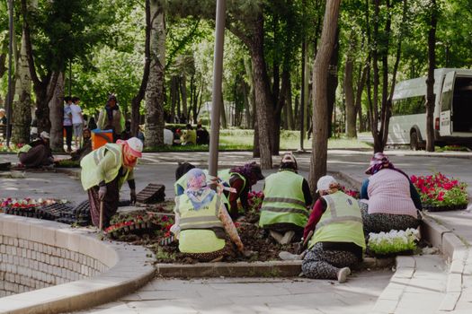 Sejumlah relawan muda sedang menanam bibit pohon lokal di kawasan restorasi hutan untuk membantu memulihkan keanekaragaman hayati dan mencegah erosi tanah.