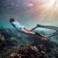 Seorang penyelam lokal dengan cermat merawat fragmen karang baru pada media transplantasi bawah laut sebagai bagian dari upaya restorasi ekosistem pesisir di perairan Nusantara.