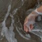 Tumpukan sampah plastik yang terdampar di sepanjang garis pantai mengancam kelestarian ekosistem bahari dan menurunkan daya tarik pariwisata pesisir Indonesia.