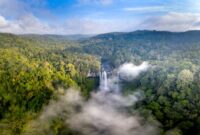 Kawasan kanopi hutan hujan tropis di Indonesia yang hijau rimbun menjadi bentang alam vital penyeimbang iklim global dan habitat berbagai fauna langka.