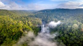 Kawasan kanopi hutan hujan tropis di Indonesia yang hijau rimbun menjadi bentang alam vital penyeimbang iklim global dan habitat berbagai fauna langka.