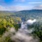Kawasan kanopi hutan hujan tropis di Indonesia yang hijau rimbun menjadi bentang alam vital penyeimbang iklim global dan habitat berbagai fauna langka.