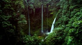 Masyarakat adat di pedalaman Nusantara merawat kawasan hutan penyangga secara berkelanjutan guna menjaga keseimbangan ekosistem dan pasokan air bersih.