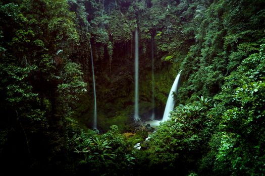 Masyarakat adat di pedalaman Nusantara merawat kawasan hutan penyangga secara berkelanjutan guna menjaga keseimbangan ekosistem dan pasokan air bersih.