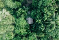 Pemandangan aerial tutupan tajuk hijau hutan hujan tropis Indonesia yang menjadi penyangga utama kestabilan iklim global dan habitat berbagai fauna langka.