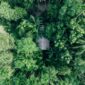 Pemandangan aerial tutupan tajuk hijau hutan hujan tropis Indonesia yang menjadi penyangga utama kestabilan iklim global dan habitat berbagai fauna langka.