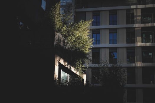 Area balkon apartemen perkotaan disulap menjadi taman hijau kecil yang rindang guna menurunkan suhu udara serta menyaring polusi secara alami di tengah cuaca terik.