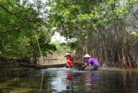 Pengunjung menikmati keasrian kawasan konservasi mangrove melalui jembatan kayu yang membelah rimbunnya benteng hijau pesisir.