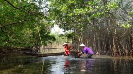 Pengunjung menikmati keasrian kawasan konservasi mangrove melalui jembatan kayu yang membelah rimbunnya benteng hijau pesisir.