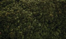 Menjejaki Napas Hutan Sumatra yang Merana dan Pilihan Gaya Hidup Keseharian Kita