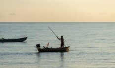 Menelusuri Jejak Ikan Ramah Lingkungan dari Samudra Nusantara sampai Piring Makan Kita