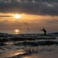 Seorang nelayan lokal memancing tuna menggunakan metode pancing ulur tradisional di perairan pesisir Indonesia. Metode tangkap ramah lingkungan ini menjadi pilar utama perikanan berkelanjutan untuk menjaga kelestarian biota laut.