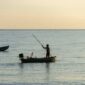 Seorang nelayan tradisional di pesisir Nusantara bersiap melaut menggunakan perahu kayu sembari memanfaatkan keindahan alam matahari terbenam. Aktivitas bahari masyarakat pesisir kini memadukan kearifan lokal dan inovasi ekonomi baru.