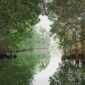 Sejumlah relawan dan wisatawan lokal tampak antusias menanam bibit mangrove muda di kawasan lumpur pesisir sebagai upaya menjaga ekosistem pantai dari abrasi.