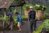Masyarakat adat di wilayah pedalaman Nusantara terus merawat kelestarian hutan leluhur mereka yang menjadi benteng pertahanan utama keanekaragaman hayati Indonesia.