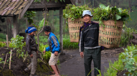 Masyarakat adat di wilayah pedalaman Nusantara terus merawat kelestarian hutan leluhur mereka yang menjadi benteng pertahanan utama keanekaragaman hayati Indonesia.