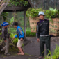 Masyarakat adat di wilayah pedalaman Nusantara terus merawat kelestarian hutan leluhur mereka yang menjadi benteng pertahanan utama keanekaragaman hayati Indonesia.
