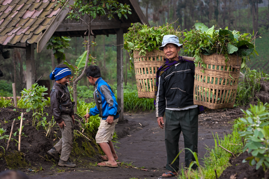 Masyarakat adat di wilayah pedalaman Nusantara terus merawat kelestarian hutan leluhur mereka yang menjadi benteng pertahanan utama keanekaragaman hayati Indonesia.