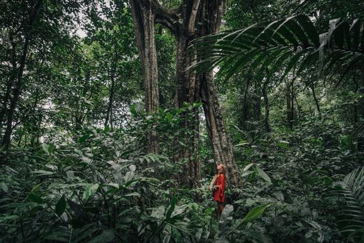 Sejumlah warga lokal dan relawan sedang menanam bibit pohon endemik di area restorasi hutan kawasan penyangga. Kegiatan ini bertujuan mengembalikan keanekaragaman hayati sekaligus memperkuat perekonomian berbasis lingkungan masyarakat sekitar.