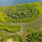 Seorang wisatawan menikmati suasana tenang saat menyusuri jembatan kayu di kawasan konservasi ekosistem mangrove pesisir yang rimbun dan lestari.