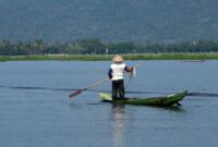 Seorang nelayan tradisional memisahkan hasil tangkapan ikan kembung segar dengan metode ramah lingkungan di pesisir perairan Nusantara.