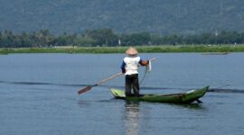Seorang nelayan tradisional memisahkan hasil tangkapan ikan kembung segar dengan metode ramah lingkungan di pesisir perairan Nusantara.