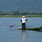 Seorang nelayan tradisional memisahkan hasil tangkapan ikan kembung segar dengan metode ramah lingkungan di pesisir perairan Nusantara.