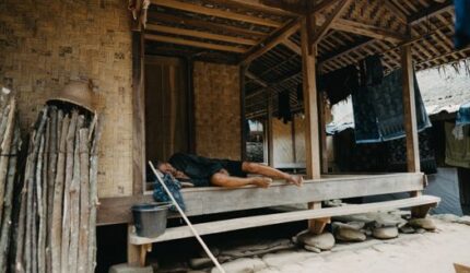Menjaga Akar Kehidupan Dari Hutan Adat Nusantara Demi Masa Depan Lingkungan Bersama