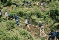 Sejumlah relawan bersama warga lokal sedang menanam bibit pohon endemik di area pemulihan hutan untuk menjaga kelestarian ekosistem dan sumber air bersih.
