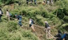 Menghirup Kembali Napas Hijau Lewat Adopsi Pohon dan Pemulihan Hutan Mandiri