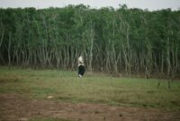 Seorang relawan sedang menancapkan bibit mangrove di kawasan pesisir berlumpur untuk memperkuat dinding benteng alami pantai dari ancaman abrasi laut.