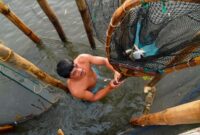 Seorang nelayan tradisional di perairan Maluku menggunakan metode pancing ulur yang ramah lingkungan untuk menjaga populasi ikan laut.