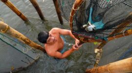 Seorang nelayan tradisional di perairan Maluku menggunakan metode pancing ulur yang ramah lingkungan untuk menjaga populasi ikan laut.
