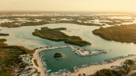 Sejumlah wisatawan berjalan menyusuri jembatan kayu di tengah rindangnya kawasan ekowisata mangrove pesisir yang kini menjadi benteng hijau pelindung pantai sekaligus destinasi liburan berkelanjutan.